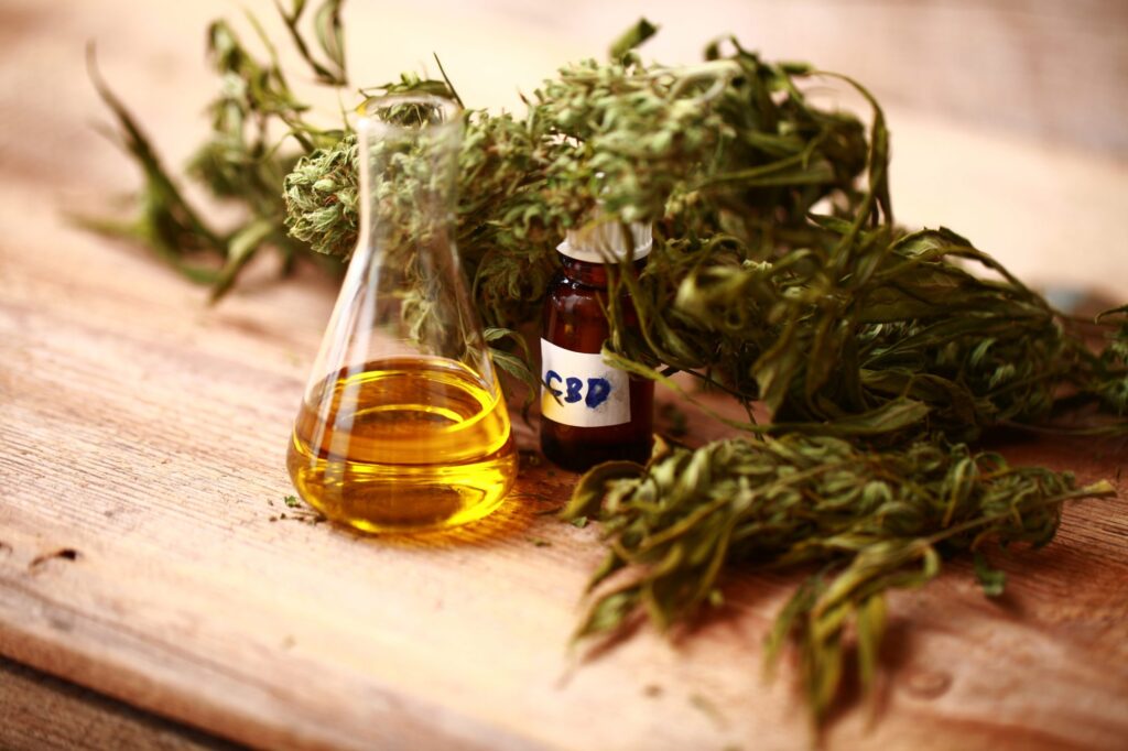 CBD Oils and Plant-Based Wellness Habits in Aloha