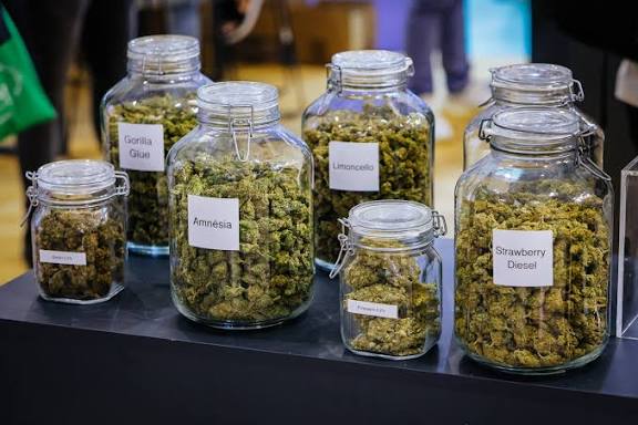CBD Oil Storage Matters